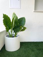 Cozy accommodation by the sea - FREE Parking - B&B Rijeka