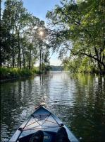 Willow by the Water Cottage with dock on KY Lake - Chambres d'hôtes Benton