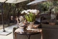 Rhino's Rest Private Luxury Villa - B&B Hoedspruit