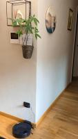 Residenze Vezza - Il Larice - - B&B Vezza d'Oglio