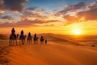 Sahara Mektoub Camp - B&B Hassi Labied