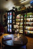 Tranquil Library 2brm 1bath private eclectic apt at Solar Lodge - Bed and Breakfast Chicago