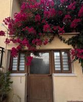 Bougainvillea Garden Apartment - B&B Peyia