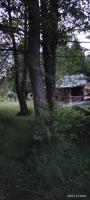 Zielony Anioł nad Stawami, Poleski Park Narodowy - Chambres d'hôtes Laski Bruskie