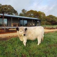 Mygunyah Farmstay - Chambres d'hôtes Kaniva