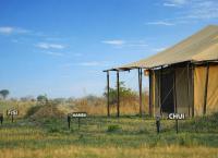 Adimu Mara Camp - B&B Mugumu