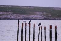 Lagoon Views at Langebaan - B&B Langebaan