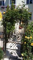 Comfort Willa - Bed and Breakfast