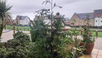 Homestay guests nest - Bed and Breakfast Stanford-le-Hope