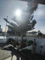 Apartamento Los Chinijos - Bed and Breakfast Güime