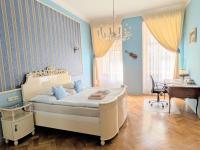 Historical stylish apartment - B&B Prague