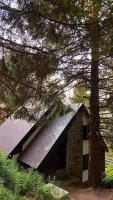 VILA PAVLOVIC - B&B Kopaonik