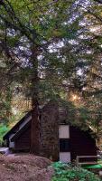 VILA PAVLOVIC - B&B Kopaonik