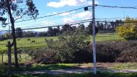 La Maison - B&B Talca