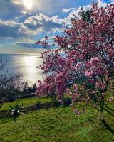 Trieste Sea Life - B&B Trieste