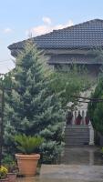 Proko Guest House - B&B Argirocastro