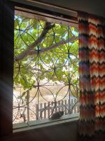 Casa Fruta y Cor - Chambres d'hôtes Canoa Quebrada