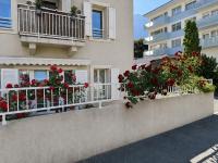 Rare Appartement entier Centre - B&B Bex