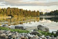 Kodikas Skandi-tyylinen Yksiö Keskustassa - B&B Kuopio