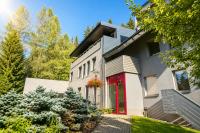 Mountain Apartment Resident - wellness, terasa & garáž v ceně, možnost snídaně - B&B Harrachov