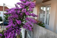 Family apartment B&B - Bed and Breakfast Biograd na Moru