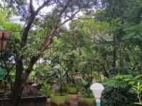 Hi Greenhouse Holiday Homestay - B&B Māvalli