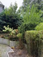 Wunderschöne 2 Zimmer Wohnung in Wuppertal - B&B Wuppertal