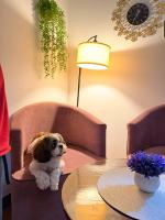 The Urban Nest IT Park - B&B Dehradun