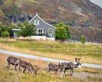 Storbukta Arctic Lodge - Chambres d'hôtes Hammerfest