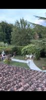 Villa Felicità - B&B Lucca