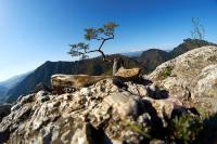Pieniny house - B&B Lesnica