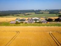 Broombarns Farm Cottage - Chambres d'hôtes Forgandenny