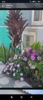 Casa bem te vi - B&B Itanhaém