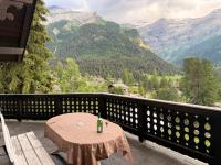 Cozy Le Lézard chalet with mountain view fireplace - Bed and Breakfast Les Diablerets