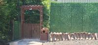 Chalet Edelweiss Sighnaghi - Bed and Breakfast Signagi