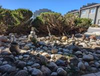 Dogs OK! Prime Home Base minutes to Downtown and Trails - B&B Buena Vista