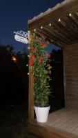 Casa Tartaruga - Nature Houses - Bed and Breakfast Estômbar
