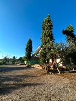 Sella Homestay Wainyapu Sumba - Bed and Breakfast Lambatama