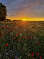 A peaceful retreat close to nature, the coast, and culture - B&B Gørlev