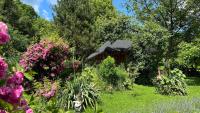 Casa de la țară Albinuța Călătoare - Ferienwohnung Isverna