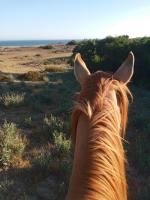 Chacra marítima cerca del Cabo - Chambres d'hôtes Rincón de los Olivera