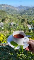 Nine Arch Gap - Bed and Breakfast Ella Town