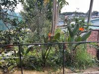 MORA tucked in the trees, Da Lat - Bed and Breakfast Ðà Lạt