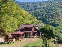 Flowers Cabin - B&B Măguri-Răcătău