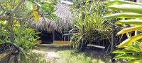 Jungle Hut near Beach - Nature Lovers - Ferienwohnung Las Terrenas