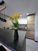 Sola Apartament - B&B Oświęcim