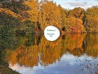 Ferienwohnung Schwarzhof- Hahnekräh am Bostalsee, helle 75 qm & hundefreundlich - Chambres d'hôtes Nohfelden