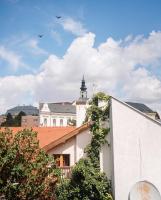 Old town attic suite HP5 - Bed and Breakfast Nitra