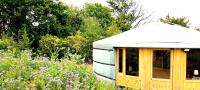 Big & luxurious eco-tiny house in nature & near Brussels - B&B Merchtem