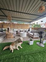 Aahoi - Bed and Breakfast Guwahati